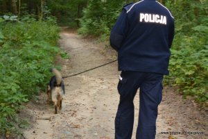 Policjant z psem służbowym w lesie prowadzi poszukiwania