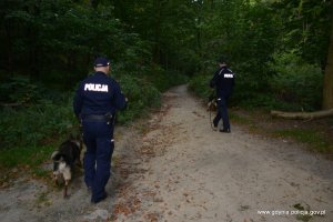 Policjant z psem służbowym w lesie prowadzi poszukiwania