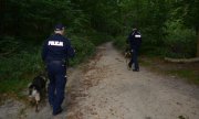 Policjanci z psami służbowym prowadzą poszukiwania w lesie