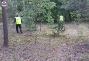 policjanci przeszukujący las