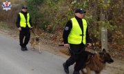 dwaj policjanci z psami służbowymi