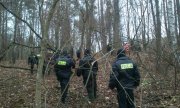 Policjanci w lesie podczas poszukiwań