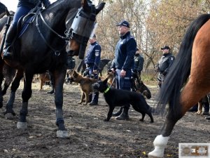 policjanci z psami i policjanci na koniach