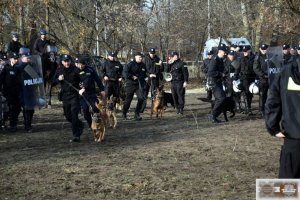 policjanci z psami podczas ćwiczeń