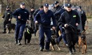 policjanci z psami służbowymi podczas ćwiczeń