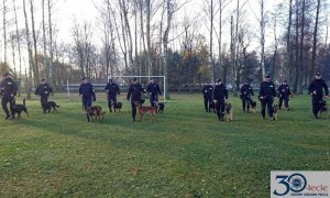 podczas szkolenia psów policyjnych przewodnicy z psami ćwiczą w terenie