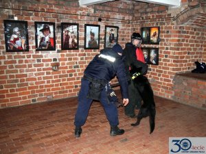 podczas szkolenia psów policyjnych w pomieszczeniu