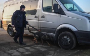 Policjant z psem przeszukuje pojazdy