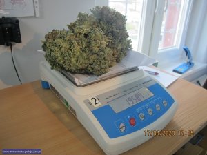 marihuana na wadze elektronicznej