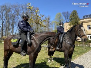 dwóch policjantów na koniach służbowych prezentują konie