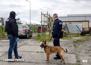 Policjanci z psem służbowym na miejscu ujawnienia nielegalnego tytoniu