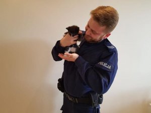 policjant w mundurze z kotem na ręku