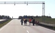 Policjanci eskortują konie na autostradzie