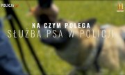Napis Na czym polega służba psa w Policji na rozmytym tle