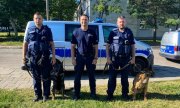 policjanci wraz z psami służbowymi
