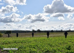 Policjanci podczas poszukiwań w polu
