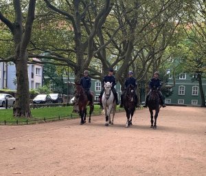 Cztery policyjne konie wraz z jeźdźcami poruszają się w szeregu.