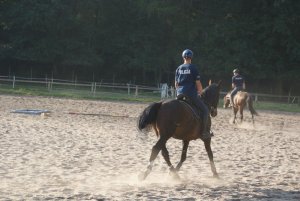 dwaj policyjni jeźdźcy jadą na koniach
