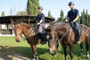 dwaj policyjni jeźdźcy na koniach