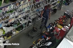 Nagranie z kamer monitoringu w sklepie, ,mężczyzna stoi z wózkiem pomiędzy półkami z towarem