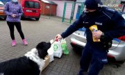 Policjant daje psu smakołyka