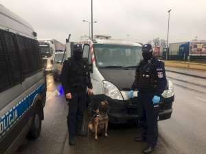 dwaj policjanci z psem stoją przy busie, z boku widoczny jest policyjny furgon