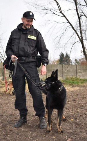 pies policyjny wraz z przewodnikiem