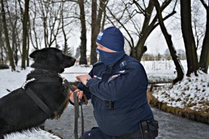 policyjny pies służbowy z policjantem