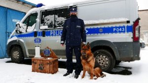 policjant i pies stoją obok skrzyni, na której stoi trofeum, za nimi stoi radiowóz