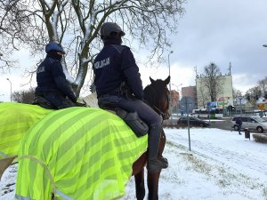 dwaj policjanci na koniach podczas patrolu