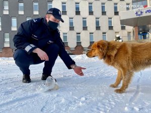 policjant na chodniku przed Komendą wyciąga rękę do psa