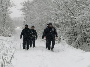 Policjanci w trakcie poszukiwań kobiety na drodze leśnej