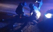 zdjęcie kolorowe: trzech katowickich policjantów z zatrzymanym mężczyzną lezącym na ziemi