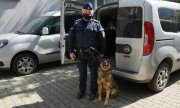 policjant z psem służbowym stoi przy radiowozie