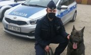 Przed oznakowanym radiowozem umundurowany policjant, na twarzy ma założoną maseczkę, trzyma smycz siedzącego przed nim psa służbowego owczarka niemieckiego, z lewej strony widać boczne drzwi radiowozu