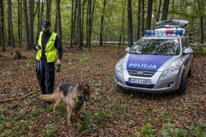 policjant z psem służbowym obok radiowozu w terenie leśnym