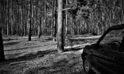 czarno-białe zdjęcie przedstawiające auto w lesie