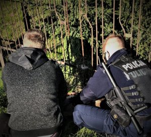 dwaj policjanci kucają przy ogrodzeniu gdzie zakleszczyła się sarna