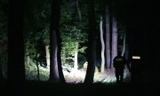 Policjanci poszukują zaginionego mężczyzny w lesie. Pora nocna. Na zdjęciu widoczne oświetlenie terenu poszukiwań