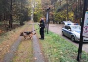 widok na policjanta stojącego w lesie wraz z psem policyjnym niedaleko radiowozu