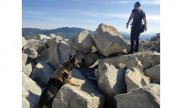 mężczyzna stojący na skałkach i policyjny pies, który wspina się w jego stronę