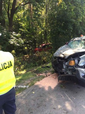 miejsce wypadku, dwa rozbite samochody, jeden z nich w kolorze czerwonym wśród drzew, z lewej strony policjant