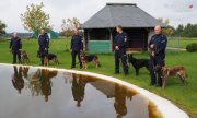 pięcioro umundurowanych policyjnych przewodników psów służbowych stoi ze swoimi podopiecznymi na brzegu sztucznego zbiornika z wodą