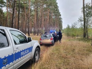 Policjanci wysiadają z radiowozu w lesie podczas poszukiwań. Widocznych kilka radiowozów, w tym jeden nieoznakowany
