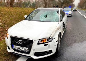 samochód z rozbitym przodem i bokiem samochodu po zderzeniu z jeleniem, za nim stoi na drodze radiowóz policyjny