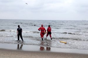 policjant, ratownik WOPR i strażak idą w stronę dziewczyny w morzu