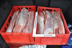skradzione mięso w skrzynkach wstawione do bagażnika samochodu