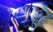 policjant stoi przy samochodzie z nielegalnymi imigrantami