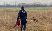 Na zdjęciu widoczny policjant w kamizelce z napisem: Przewodnik psa służbowego, wraz z psem podczas tropienia. Policjant trzyma w ręku bordowy sweter należący do zaginionej