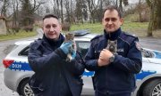 Policjanci trzymają na rękach uratowane koty. Za nimi stoi zaparkowany  radiowóz policyjny